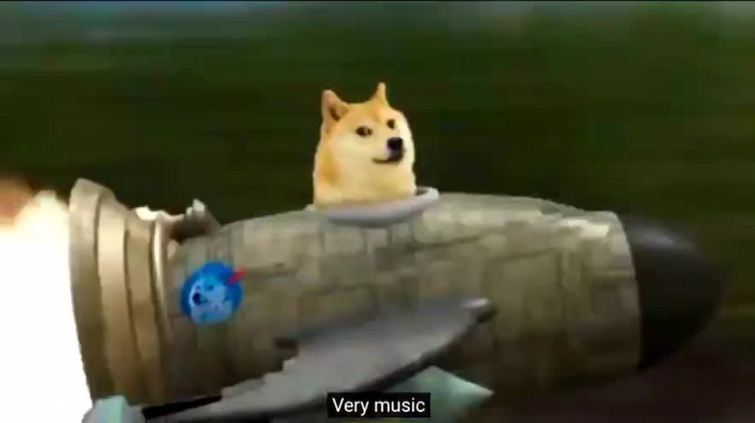 DOGE-Coin - the serious investment